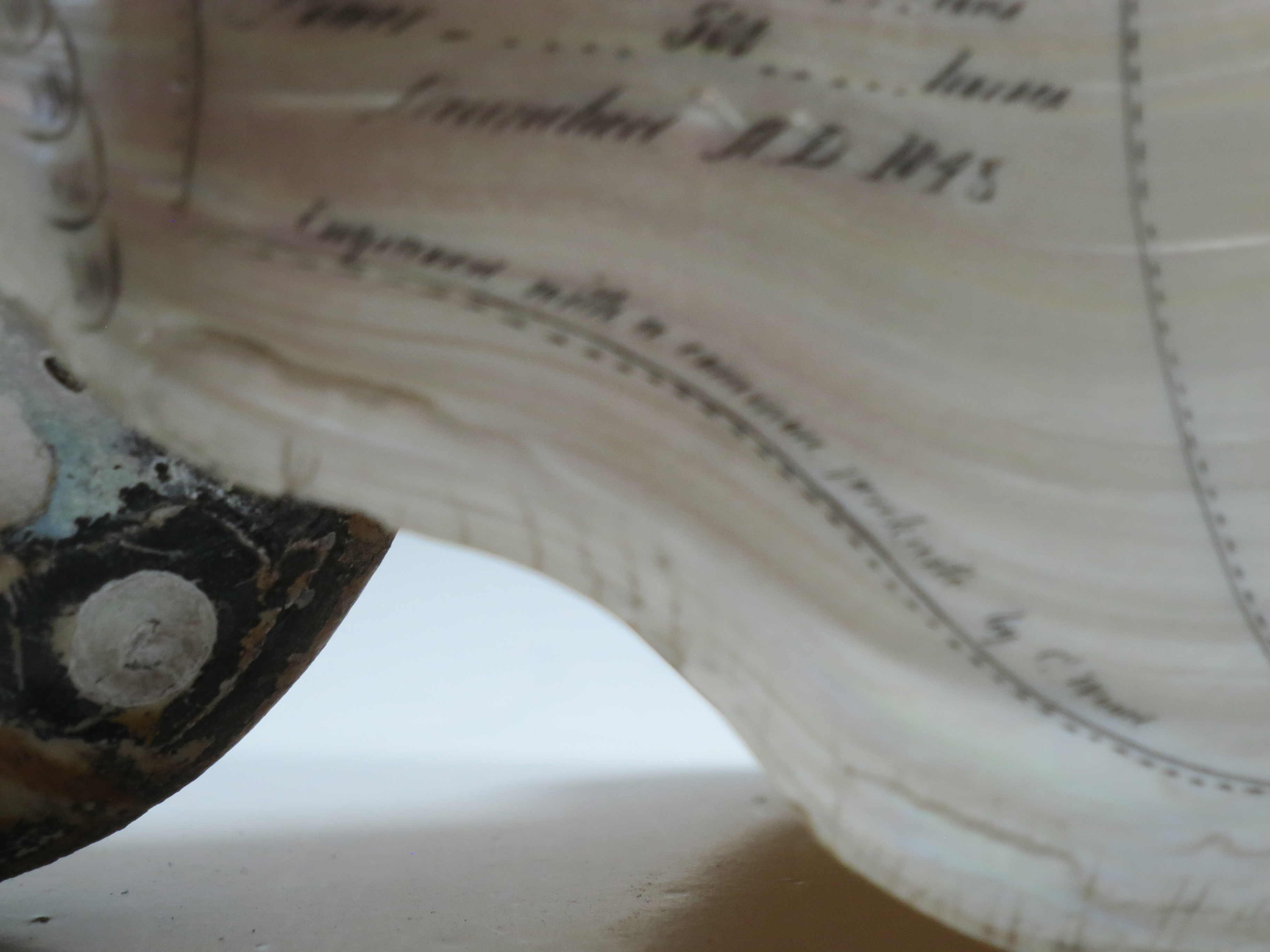 A LARGE-SIZED MID-19TH CENTURY SCRIMSHAW WORKED NAUTILUS SHELL BY C.H. WOOD - Image 7 of 14