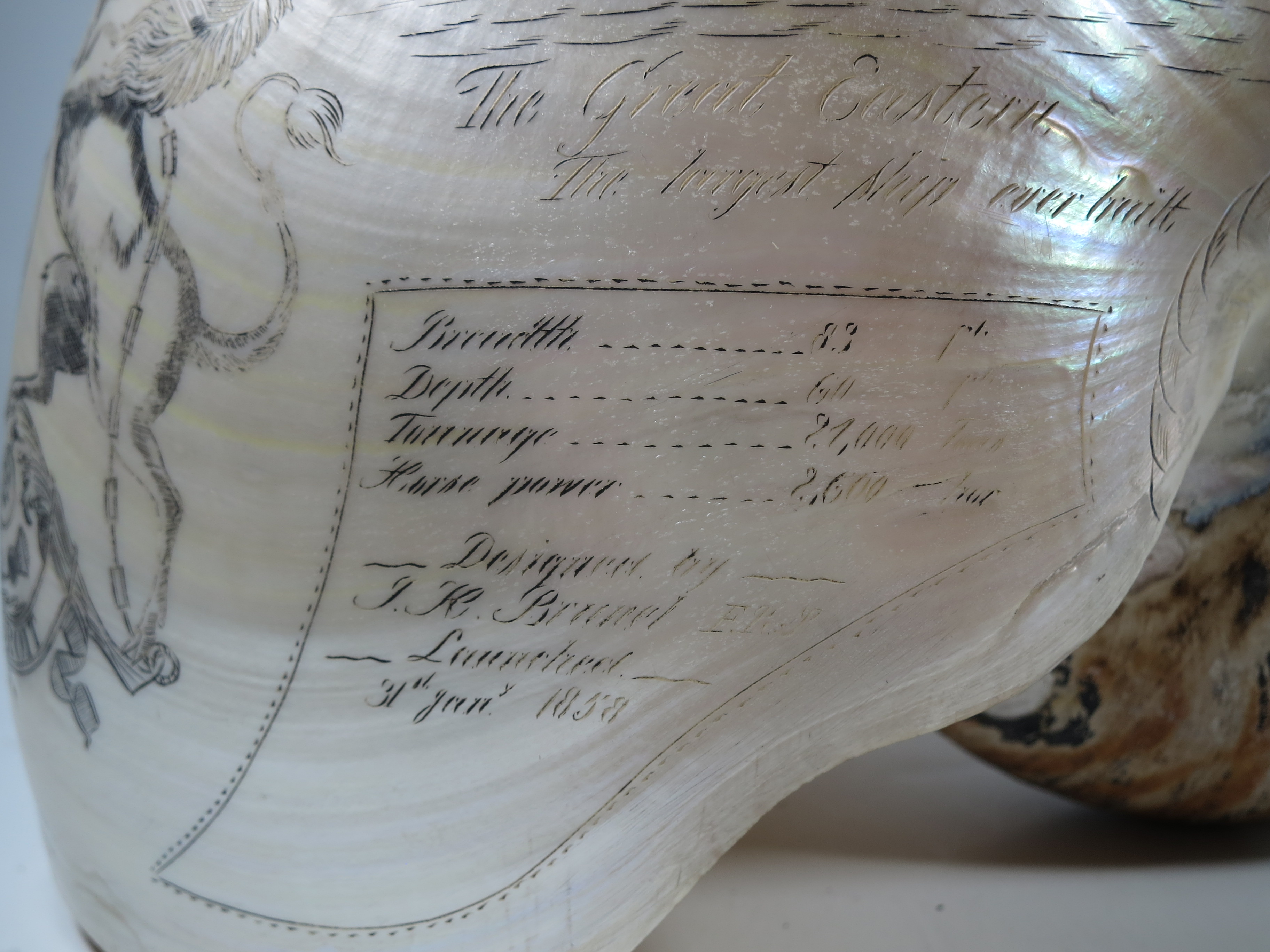 A LARGE-SIZED MID-19TH CENTURY SCRIMSHAW WORKED NAUTILUS SHELL BY C.H. WOOD - Image 13 of 14