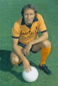 Mike Bailey signed 12x8 colour photo pictured during his playing days with Wolverhampton