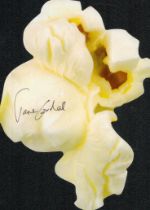 Jane Goodall signed 7x5 inch irregular cut signature piece. Good condition. All autographs come with
