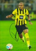 Donyell Malen signed 12x8 inch colour photo pictured in action for Borussia Dortmund in Germany.