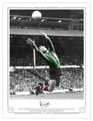 Autographed HARRY DOWD 16 x 12 Limited Edition : Manchester City goalkeeper HARRY DOWD, at full
