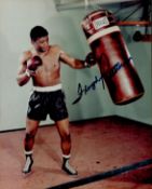 Floyd Patterson signed 10x8 inch colour photo. Good condition. All autographs come with a