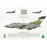 Tornado GR4A ZA395 12b Sqn RAF Lossiemouth Commanding Officer 12 B signed Squadron print. Approx