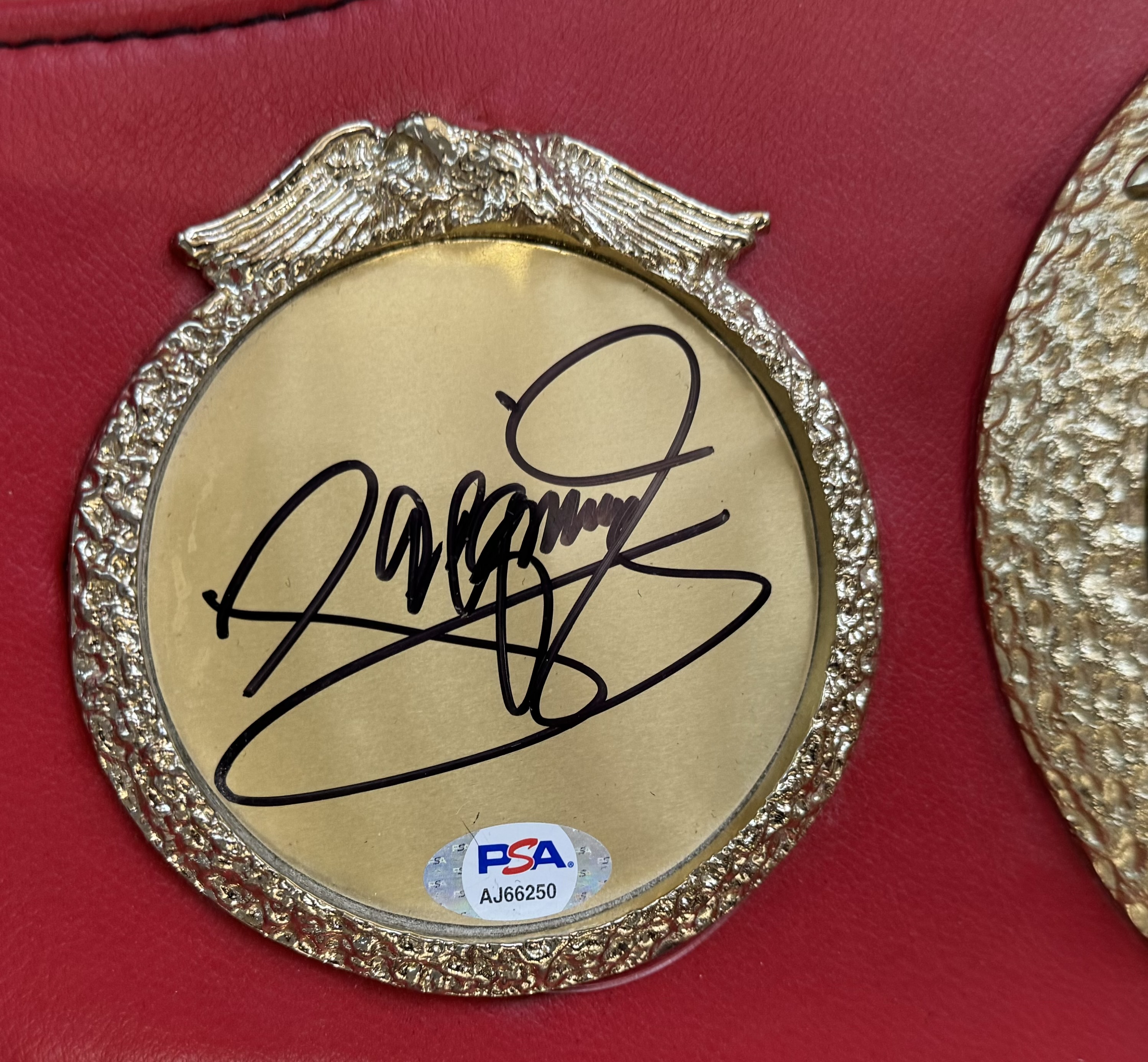 Manny Pacquiao signed IBF World Champion replica belt. Good condition. All autographs come with a