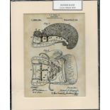 Boxing Gove U.S.A patent 1914 10x8 inch overall mounted illustration. Good condition. All autographs