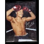 John Conteh signed 16x12 inch framed colour photo. Good condition. All autographs come with a