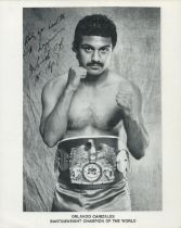 Orlando Canizales signed promo. black & white photo 10x8 Inch. Is an American former professional