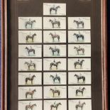 25 Vintage Players Cigarette Jockey Cards Housed on a Wills's Cigarette Mount. Set Within a Frame