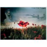 A Collage of an Airman, A Lancaster in Flight over a Poppy Field, Lest We Forget, Colour Photo