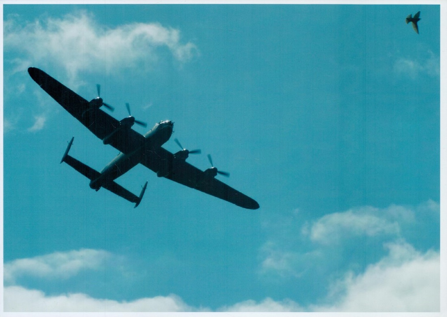 A solitary Lancaster in low Flight, Colour Photo Signed by 4 on reverse including Ted McRae, Ken - Bild 2 aus 2