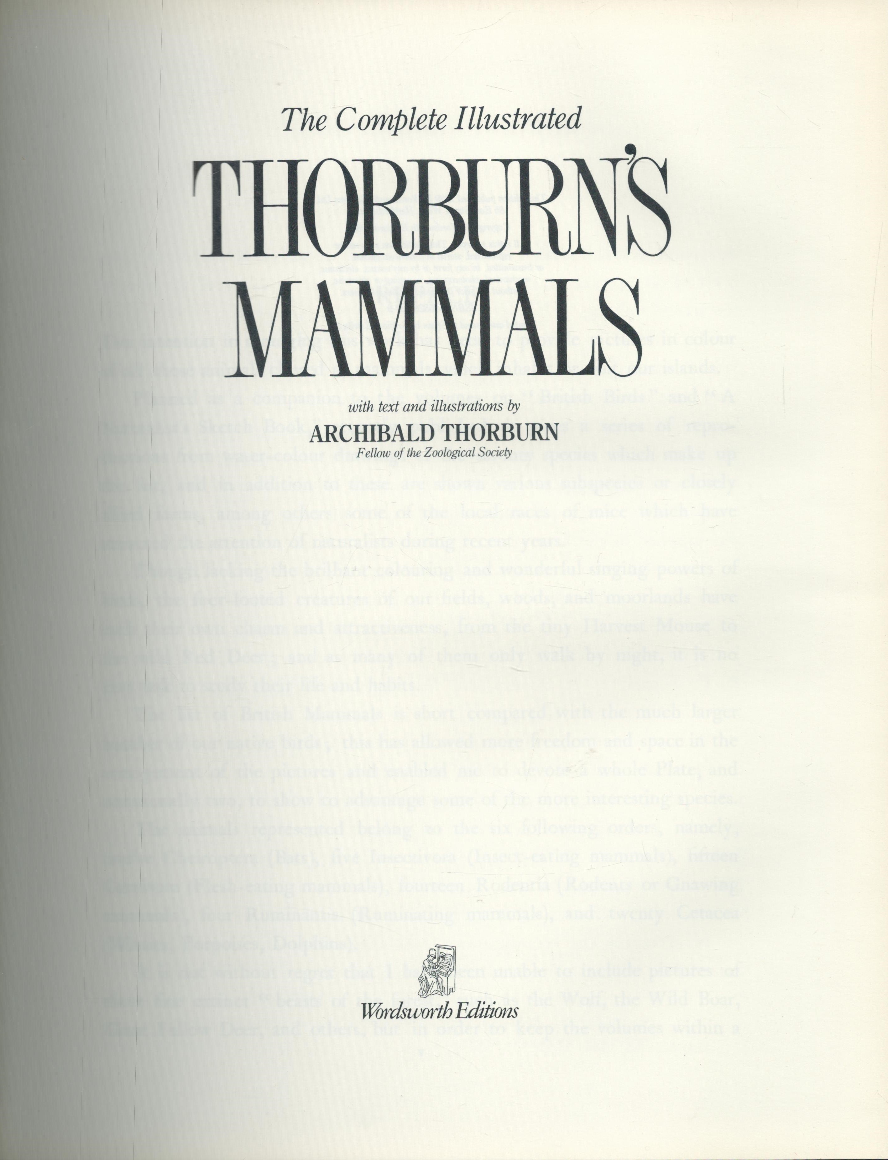 The Complete Illustrated Thorburn's Mammals by Archibald Thorburn 1989 hardback book with 102 pages, - Image 2 of 3