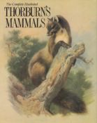 The Complete Illustrated Thorburn's Mammals by Archibald Thorburn 1989 hardback book with 102 pages,