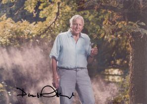 David Attenborough signed 7x5inch colour photo. Good condition. All autographs come with a