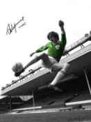Football Autographed STEVE HEIGHWAY 16 x 12 Photo : Colorized, depicting Ireland winger STEVE