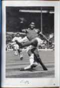 Eusebio signed 24x16 inch Legend Series Big blue tube print limited edition 445/600 picture in