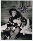 Lassie, groundbreaking 1950's and 60's TV series 8x10 photo where an animal was pretty much the lead