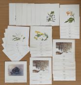 Print collection. 20 included. Some duplicates. Includes various flowers, birds and fruit. Good
