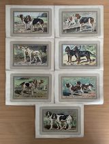 Vintage dog prints. 8 in total. Approx size 10x8inch. From the same collection as Vanity Fair