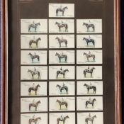 25 Vintage Players Cigarette Jockey Cards Housed on a Wills's Cigarette Mount. Set Within a Frame