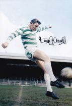 Football Autographed TOMMY GEMMELL 12 x 8 Photo : Col, depicting a wonderful image showing Celtic