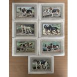Vintage dog prints. 8 in total. Approx size 10x8inch. From the same collection as Vanity Fair