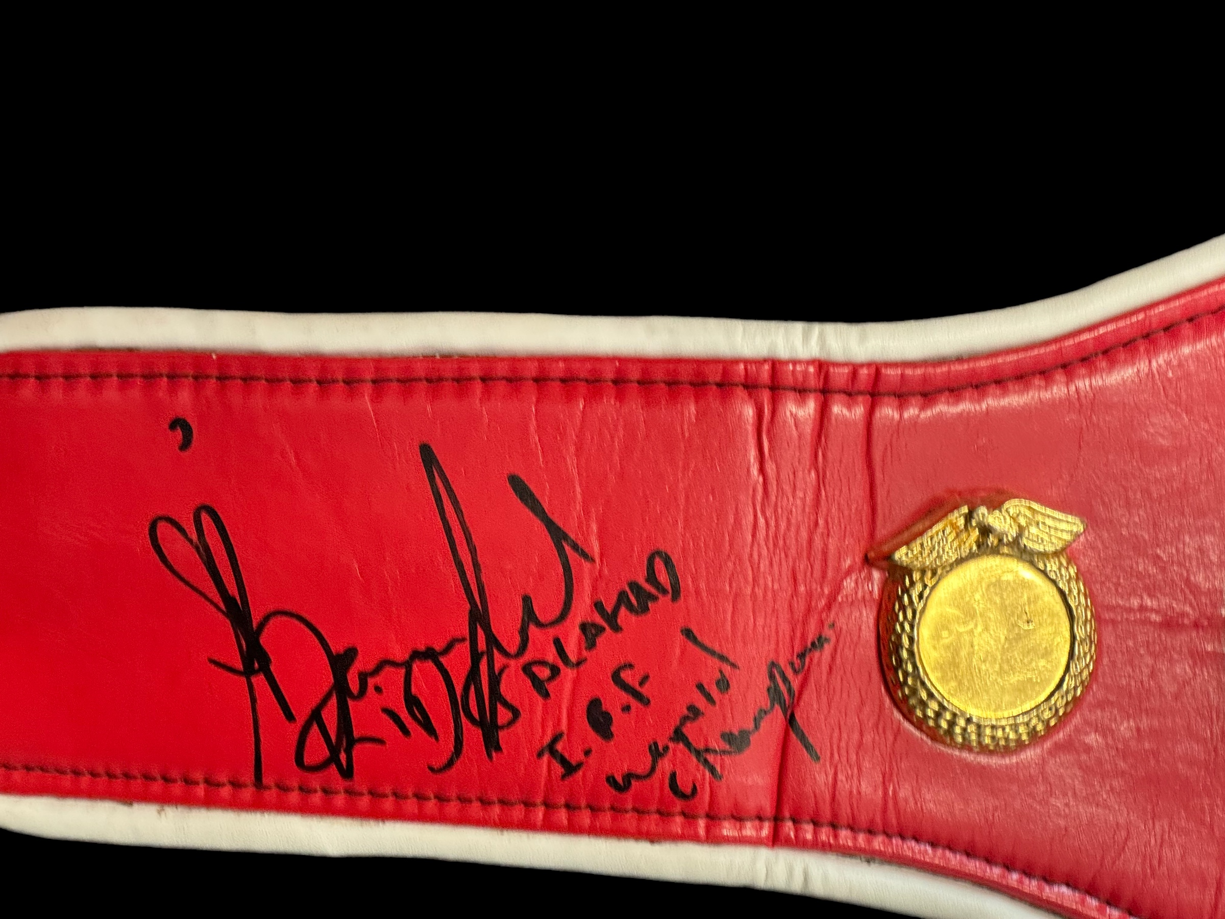 Kell Brook and Kid Galahad signed IBF replica belt. - Image 3 of 3