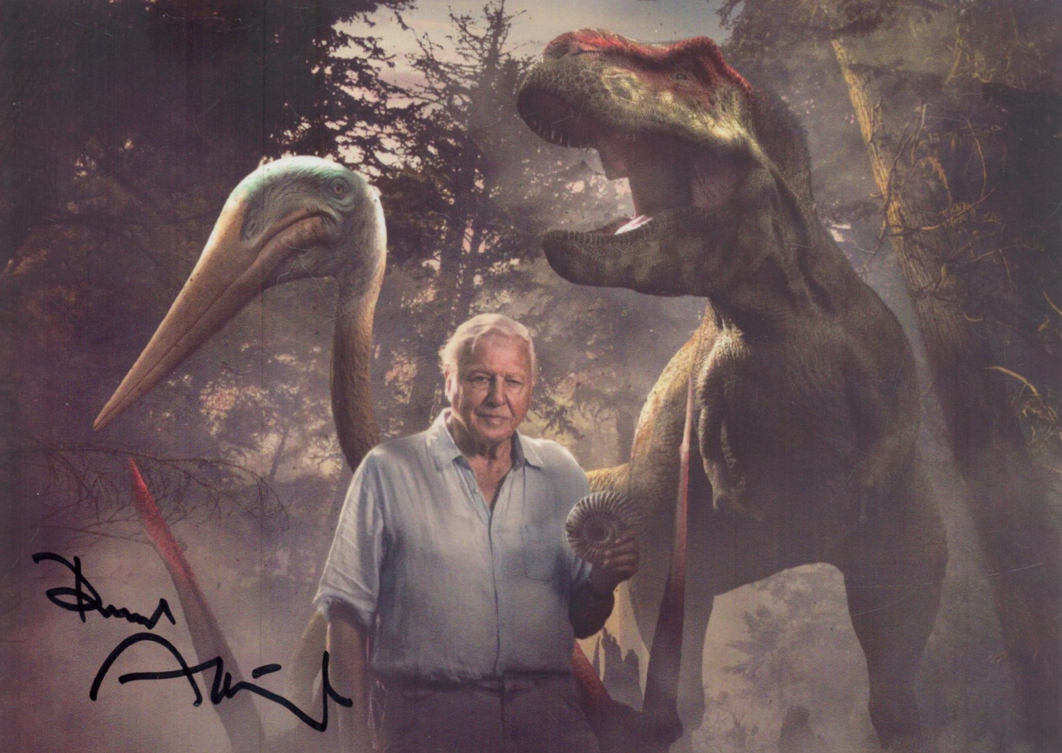 David Attenborough signed 7x5 inch colour photo. Good Condition. All autographs come with a