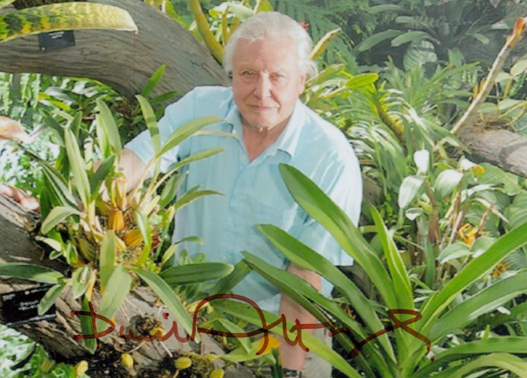 David Attenborough signed 6x4 inch colour photo. Good Condition. All autographs come with a