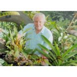 David Attenborough signed 6x4 inch colour photo. Good Condition. All autographs come with a