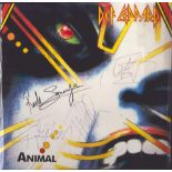 Def Leopard multi signed "Animal" 12in LP Sleeve signatures include Rick Savage, Joe Elliott, Rick