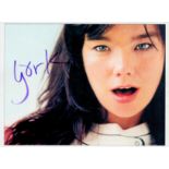 Björk signed 11x8 inch colour photo. Good Condition. All autographs come with a Certificate of