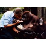 David Attenborough signed 12x8 inch colour photo. Good Condition. All autographs come with a