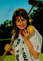 Sophia Loren OMRI signed Promo. Colour Photo. Approx. 6.5x4.75 Inch. Is an Italian Actress. Good
