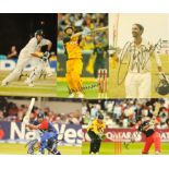 Cricket Collection of 5 signed Colour Photo's 12x8 signatures such as Jason Gillespie. David Hussey.