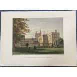 Print. Titled New College From The Garden, Oxford. Drawn by IC Buckler, Engraved by G Hollis. Colour