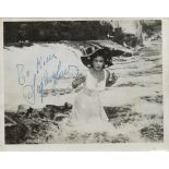 Sophia Loren signed vintage real b/w photo Italian publicity postcard, early signature. Was an