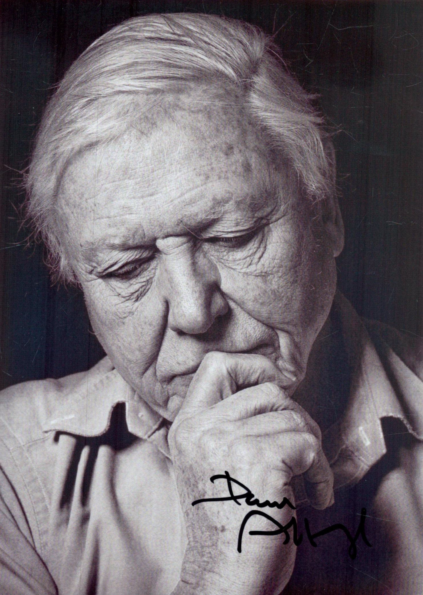 David Attenborough signed 7x5 inch black and white photo. Good Condition. All autographs come with a