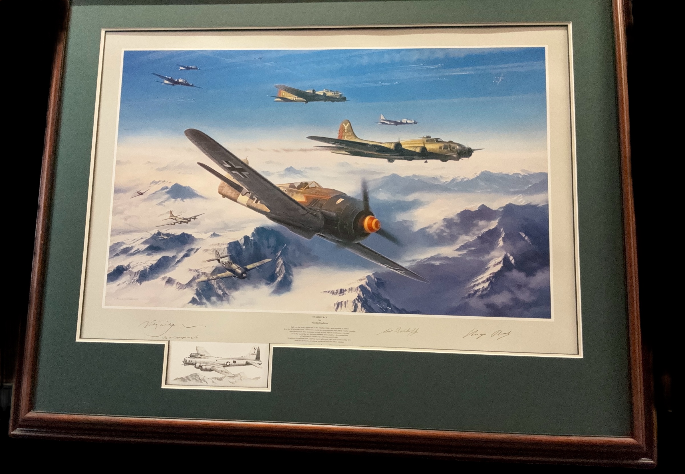 Storm Force WWII signed print 40x32 inch framed and mounted print JG3 UDET remarque No 6/10 includes