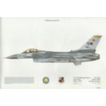 F16c Fighting Falcons 16 x 12 inch Fighting Gamecocks Squadron series print. Few dings priced