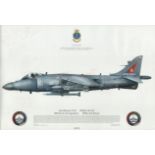 Nine Sea Harrier flight and ground crew signed 16 x 12 inch 800 Naval Air Sqn Squadron print.