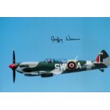 WW2 Battle of Britain Geoffrey Wellum RAF fighter pilot signed Spitfire photo. 12 x 8 colour hand