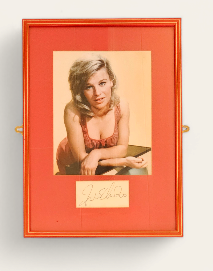 Julie Christie signature piece with colour photo. Framed. Measures 12 inch by 16-inch appx. Good