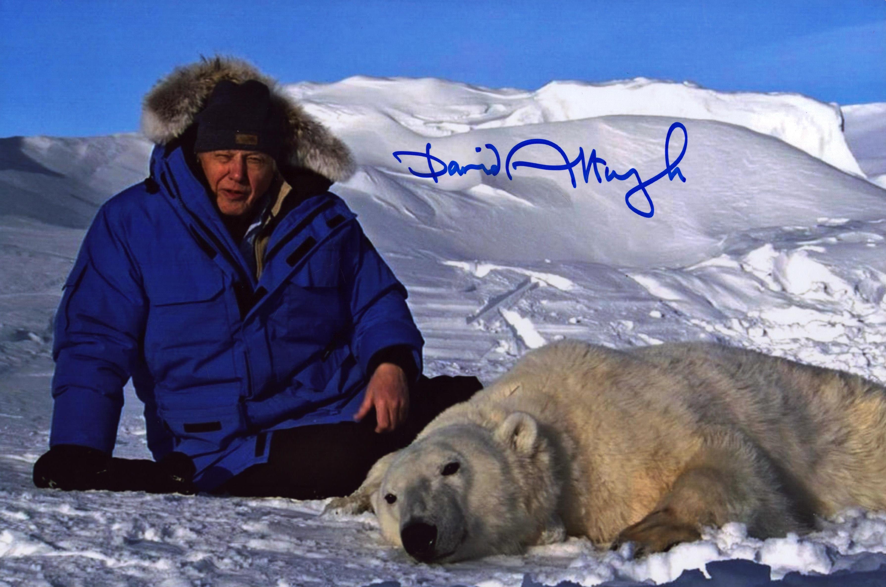 David Attenborough signed 12x8 colour photo. Good Condition. All autographs come with a