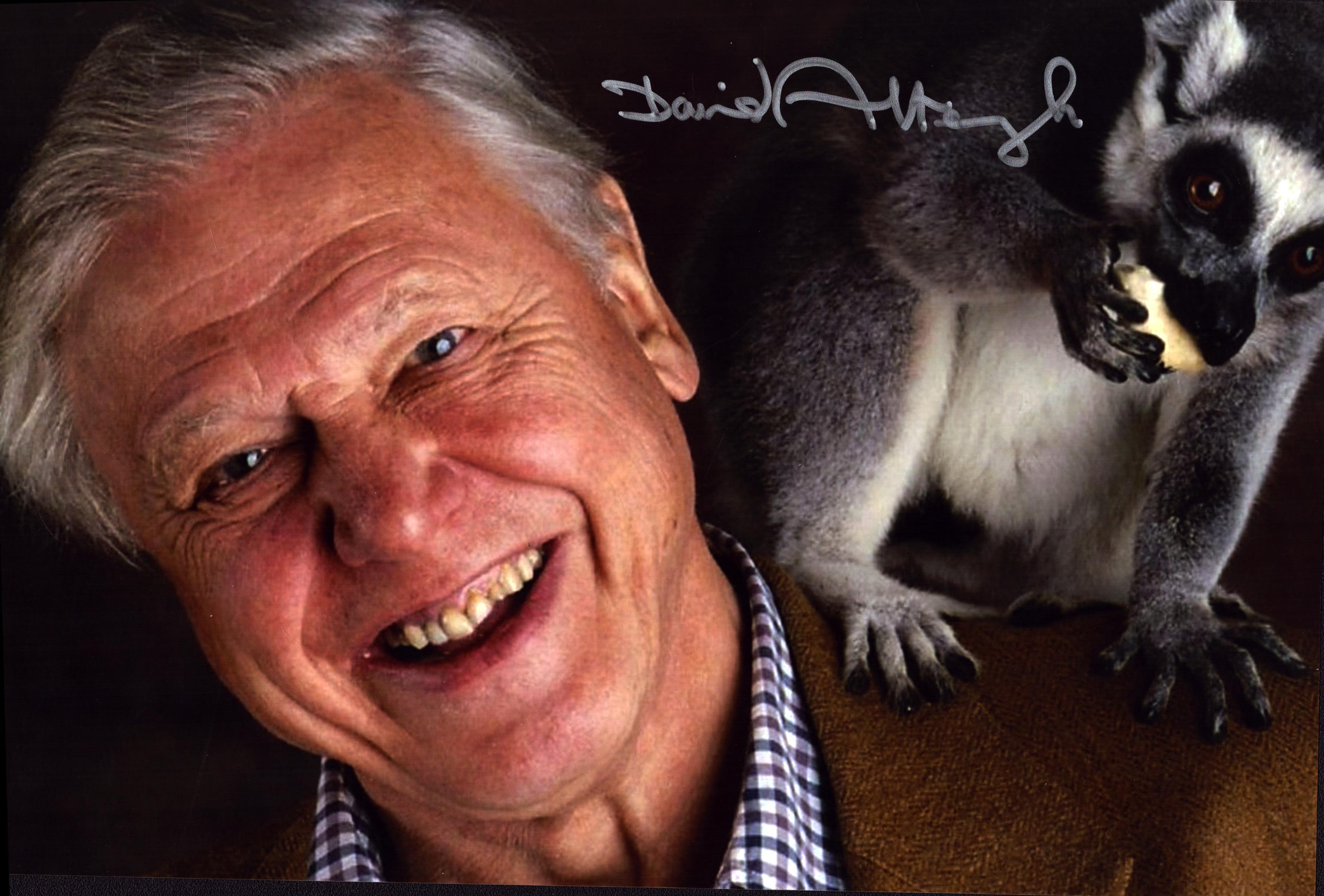 David Attenborough signed 12x8 colour photo. Good Condition. All autographs come with a