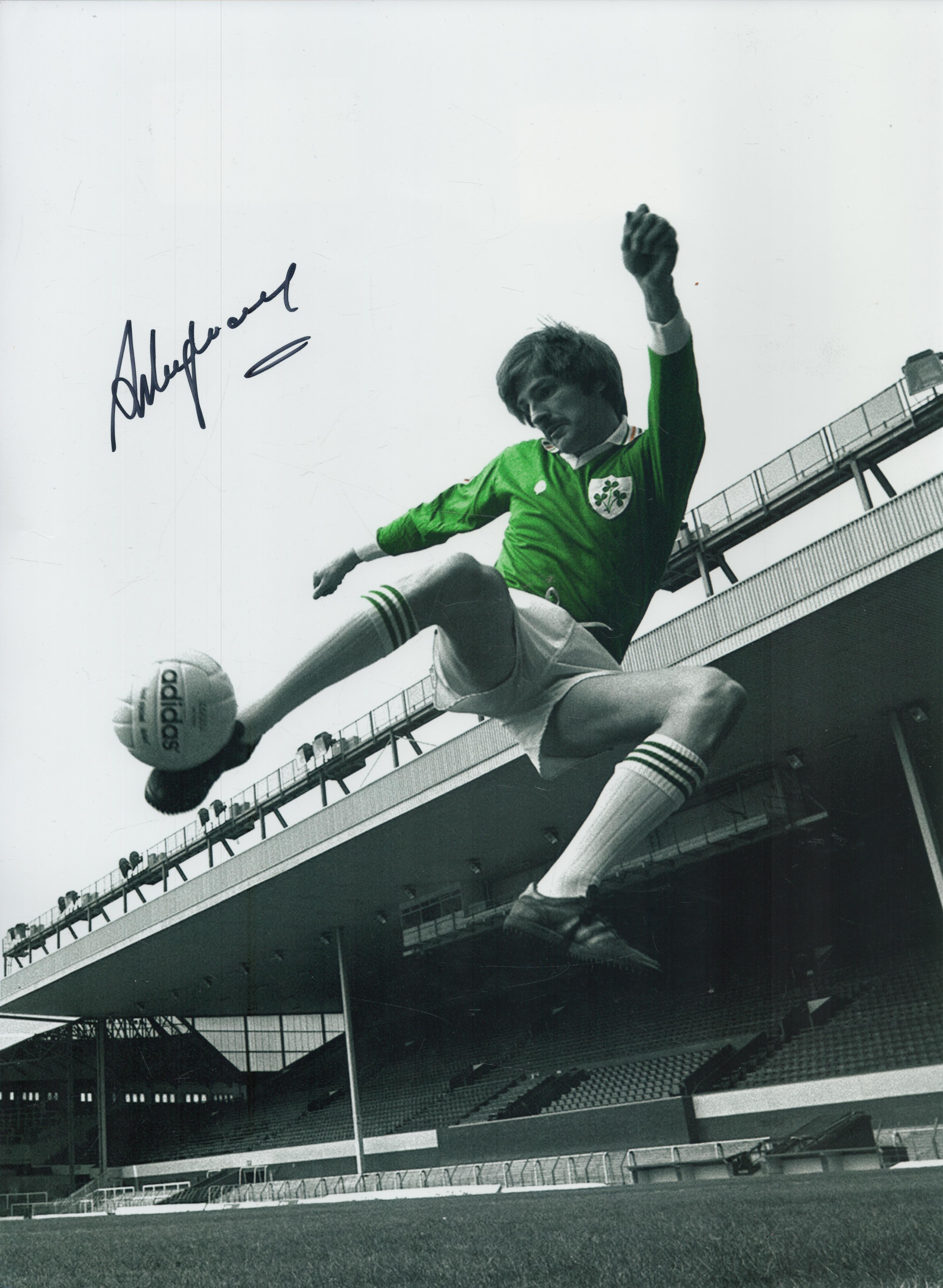 Autographed STEVE HEIGHWAY 16 x 12 Photo : Colorized, depicting Ireland winger STEVE HEIGHWAY