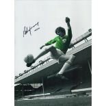Autographed STEVE HEIGHWAY 16 x 12 Photo : Colorized, depicting Ireland winger STEVE HEIGHWAY