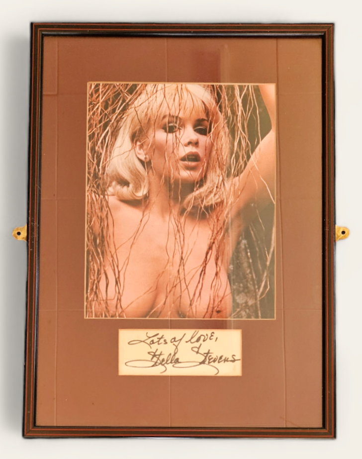 Stella Stevens signature piece with colour photo. Framed. Measures 12 inch by 16-inch appx. Good