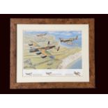 The Battle of Britain Memorial Flight by Trevor Mitchell, a stunning print framed to an approx