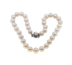 Two freshwater cultured pearl necklaces, gross weight 156.3g